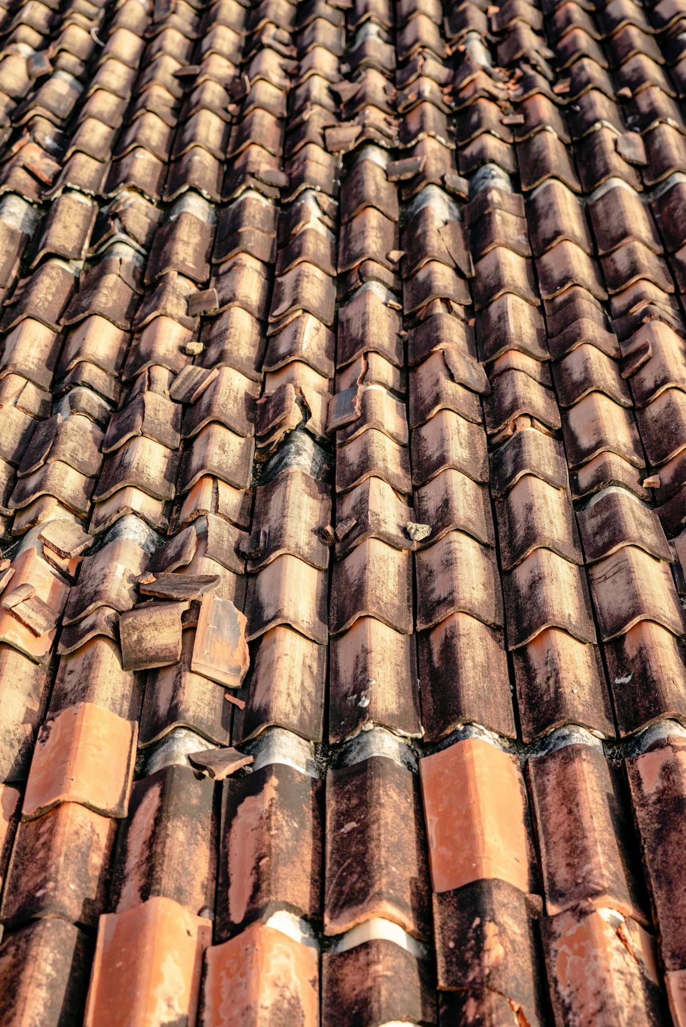 Close-up view of a weathered clay tiled rooftop showcasing unique textures and aging patterns.